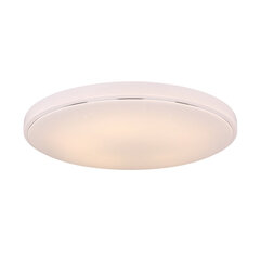 Потолочный светильник Globo Lighting Kalle G48408-60 цена и информация | Потолочные светильники | pigu.lt