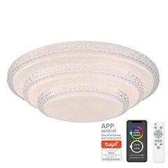 Потолочный светильник Globo Lighting Magnefique G48005FSH-30 цена и информация | Потолочные светильники | pigu.lt