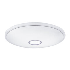 Потолочный светильник Globo Lighting Connor G41386-30 цена и информация | Потолочные светильники | pigu.lt