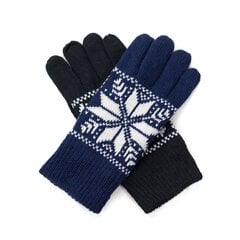 Перчатки мужские PR18608J цена и информация | Мужские шарфы, шапки, перчатки | pigu.lt