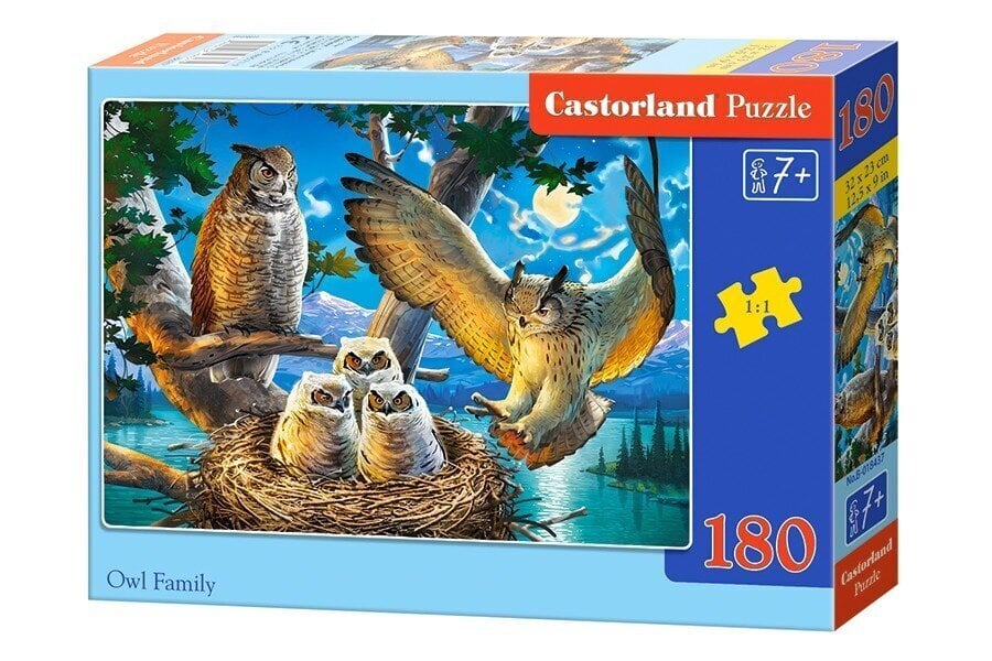 Dėlionė Castorland Pelėdų šeima, 180 detalių kaina ir informacija | Dėlionės (puzzle) | pigu.lt