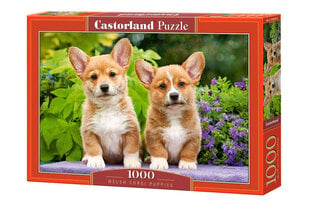 Dėlionė Castorland Puzzle, Welsh Corgi Puppies 1000 d. kaina ir informacija | Dėlionės (puzzle) | pigu.lt