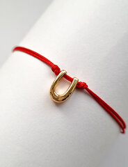 Браслет из красной нити, буква U цена и информация | Женские браслеты | pigu.lt