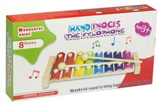 Spalvotas medinis vaikiškas ksilofonas kaina ir informacija | Lavinamieji žaislai | pigu.lt