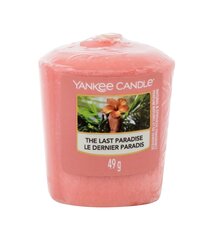 Kvapioji žvakė Yankee Candle the Last Paradise 49 g kaina ir informacija | Žvakės, Žvakidės | pigu.lt