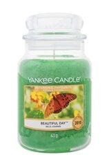 Ароматическая свеча Yankee Candle Beautiful Day 623 г цена и информация | Подсвечники, свечи | pigu.lt