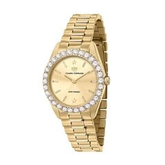 Moteriškas laikrodis Chiara Ferragni R1953100509 kaina ir informacija | Moteriški laikrodžiai | pigu.lt