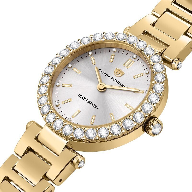 Moteriškas laikrodis Chiara Ferragni R1953103501 kaina ir informacija | Moteriški laikrodžiai | pigu.lt
