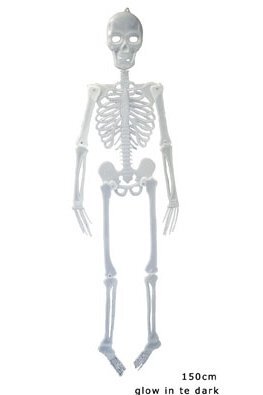 Skeletas 150cm kaina ir informacija | Karnavaliniai kostiumai | pigu.lt