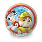 Kamuolys The Paw Patrol Unice Toys, 230 mm kaina ir informacija | Pripučiamos ir paplūdimio prekės | pigu.lt