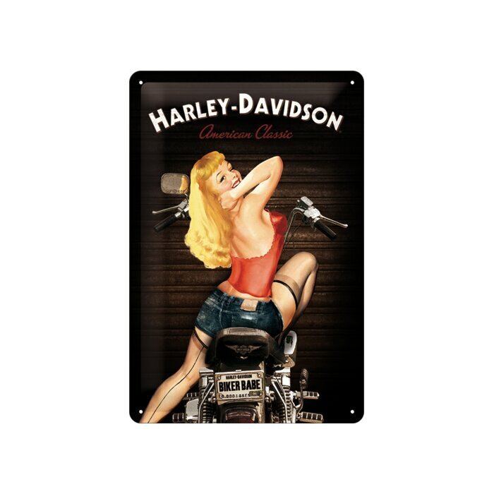 Metalinė plokštė 20 x 30 cm, Harley-Davidson Biker Babe цена и информация | Interjero detalės | pigu.lt