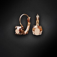 Серьги «Великолепие II (Rose Gold)» с кристаллами Swarovski™ DS02A208 цена и информация | Серьги | pigu.lt