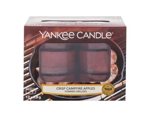 Ароматическая свеча Yankee Candle Crisp Campfire Apples 9,8 г, 12 шт цена и информация | Подсвечники, свечи | pigu.lt
