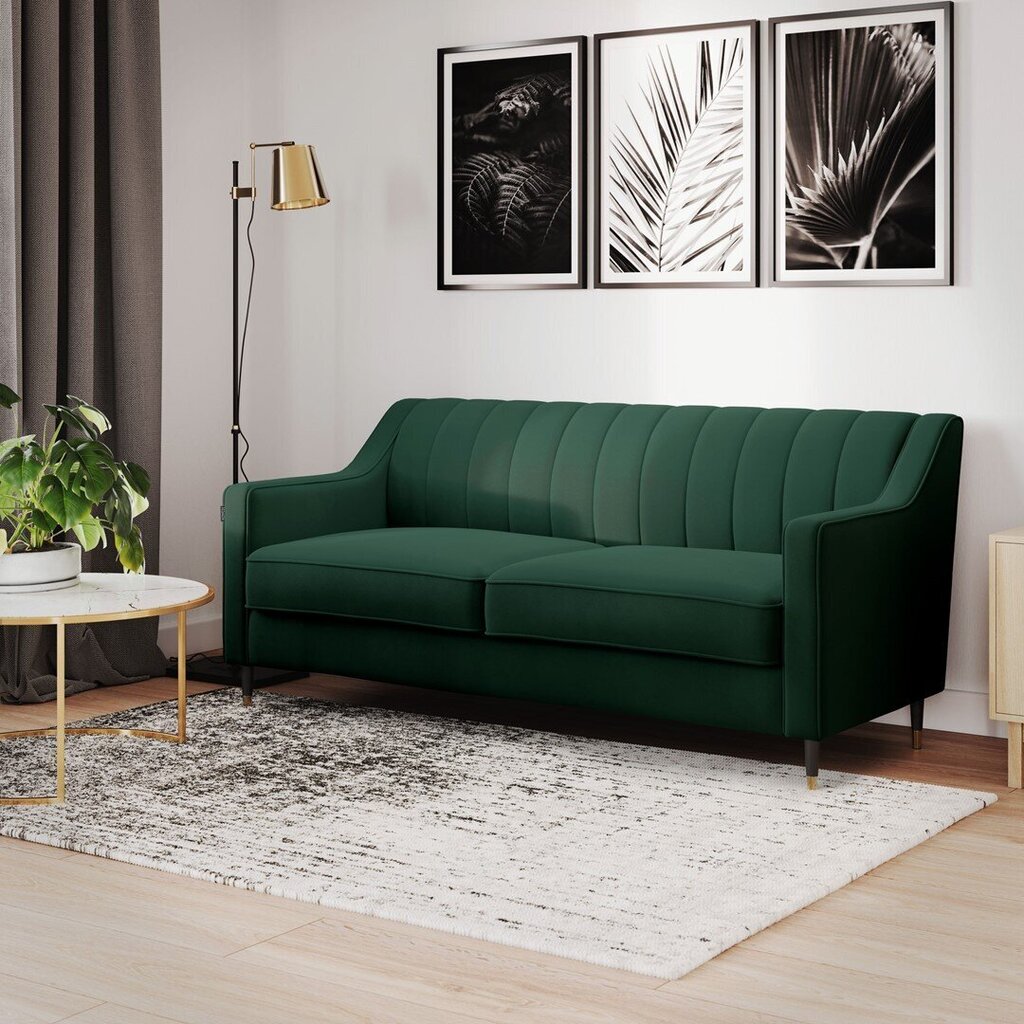 Sofa Homede Pepper, žalia kaina ir informacija | Sofos | pigu.lt