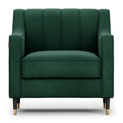 Кресло Homede Pepper, зеленое цена и информация | Кресла в гостиную | pigu.lt