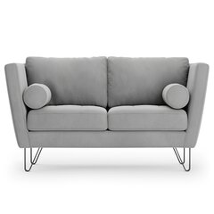 Dvivietė sofa Homede Deltin, pilka kaina ir informacija | Sofos | pigu.lt