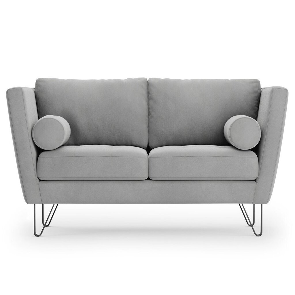 Dvivietė sofa Homede Deltin, pilka цена и информация | Sofos | pigu.lt