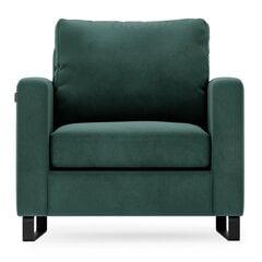 Fotelis Homede Corni, žalias kaina ir informacija | Svetainės foteliai | pigu.lt