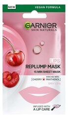 Stangrinanti lūpų kaukė su vyšnių ekstraktu Garnier Skin Naturals, 5 g цена и информация | Маски для лица, патчи для глаз | pigu.lt