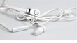 Media-Tech Magicsound DS-2 MT3556W White kaina ir informacija | Ausinės | pigu.lt