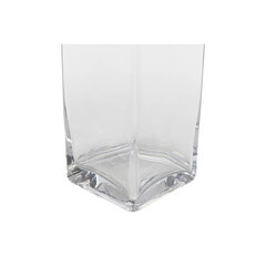 Ваза DKD Home Decor Glass, 10.5 x 10.5 x 40 см цена и информация | Вазы | pigu.lt