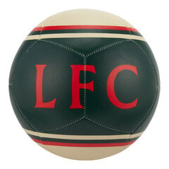 Futbolo kamuolys Nike Liverpool FC Pitch kaina ir informacija | Futbolo kamuoliai | pigu.lt