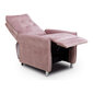 Fotelis Astan Hogar, rožinis kaina ir informacija | Svetainės foteliai | pigu.lt