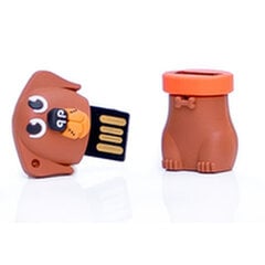 Tech One Tech TEC5134-32 32 GB kaina ir informacija | USB laikmenos | pigu.lt
