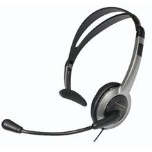 Panasonic RP-TCA430, silver цена и информация | Теплая повязка на уши, черная | pigu.lt