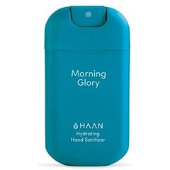 Dezinfekuojantis rankų gelis Haan Morning Glory, 30 ml kaina ir informacija | Kūno kremai, losjonai | pigu.lt