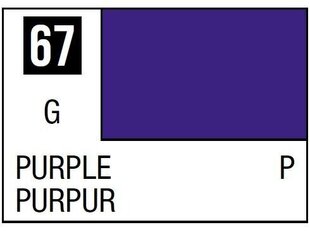 Mr.Color serijos nitro dažai C-067 Purple, 10ml kaina ir informacija | Piešimo, tapybos, lipdymo reikmenys | pigu.lt