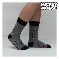 Носки Mickey Mouse цена и информация | Женские носки | pigu.lt