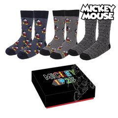 Kojinės Mickey Mouse, įvairių spalvų kaina ir informacija | Moteriškos kojinės | pigu.lt