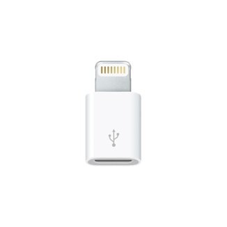 Apple MD 820ZM/A kaina ir informacija | Adapteriai, USB šakotuvai | pigu.lt