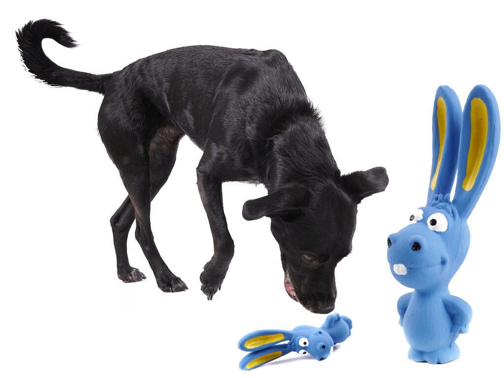 Žaislas šuniui, guminis triušis kaina ir informacija | Žaislai šunims | pigu.lt