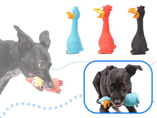 Žaislas šuniui, guminė antis kaina ir informacija | Žaislai šunims | pigu.lt