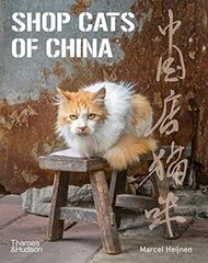 Shop Cats of China цена и информация | Энциклопедии, справочники | pigu.lt