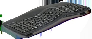 Delux GM902 wireless ergonomic keyboard 2.4G + BT 4.0 цена и информация | Клавиатуры | pigu.lt