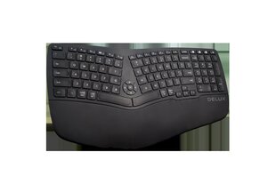 Delux GM902 wireless ergonomic keyboard 2.4G + BT 4.0 цена и информация | Клавиатуры | pigu.lt