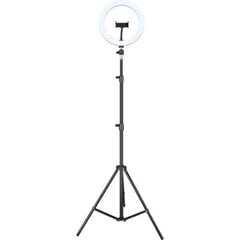 Кольцевой фонарь для селфи Iggual IGG317242 Ø 25 см цена и информация | Осветительное оборудование для фотосъемки | pigu.lt