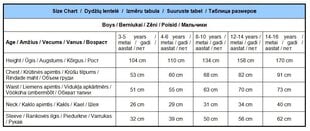 Kostiumas berniukams Haris Poteris kaina ir informacija | Karnavaliniai kostiumai | pigu.lt