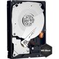 Western Digital WD1003FZEX Black HDD 1TB 3.5" 7200RPM SATA3 64MB kaina ir informacija | Vidiniai kietieji diskai (HDD, SSD, Hybrid) | pigu.lt