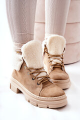 Žieminiai batai moterims Karley 292083796, rudi kaina ir informacija | Žieminiai batai moterims Karley 292083796, rudi | pigu.lt