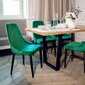 LOUIS Žalia kėdė 44x59x88 cm kaina ir informacija | Virtuvės ir valgomojo kėdės | pigu.lt