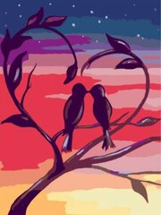 Kартины по номерам "Романтические птицы" 30x40 G цена и информация | Живопись по номерам | pigu.lt