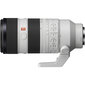 Sony FE 70-200mm GM F2.8 OSS II цена и информация | Objektyvai | pigu.lt