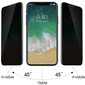 Grūdinto stiklo ekrano apsauga skirtas iPhone 13/ 13 Pro Privacy full screen cover цена и информация | Apsauginės plėvelės telefonams | pigu.lt