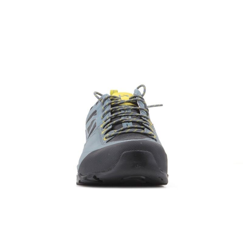 Turistiniai batai vyrams Salomon X Alp SPRY GTX M 401621, pilki цена и информация | Vyriški batai | pigu.lt