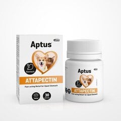 Добавка Aptus для собак и кошек Attapectin 30 таблеток цена и информация | Витамины, добавки, средства от паразитов для собак | pigu.lt