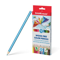 Šešiabriauniai plastikiniai spalvoti pieštukai ErichKrause®, 12 spalvų kaina ir informacija | Piešimo, tapybos, lipdymo reikmenys | pigu.lt